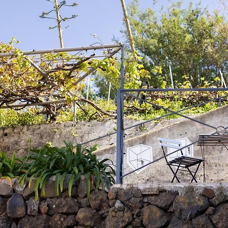 Ek Las Vistas Finca El Milagro La Orotava Dış mekan fotoğraf