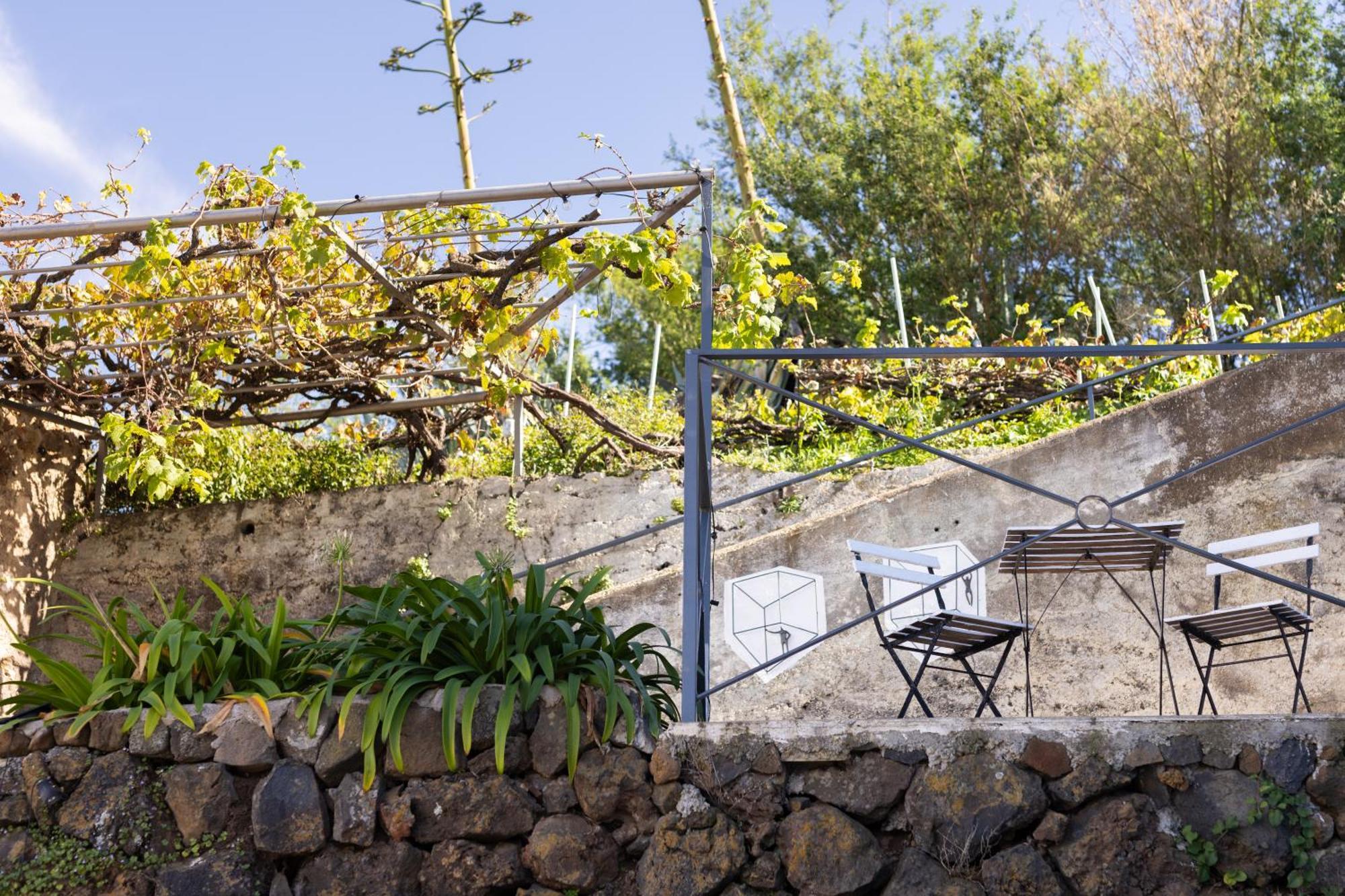 Ek Las Vistas Finca El Milagro La Orotava Dış mekan fotoğraf