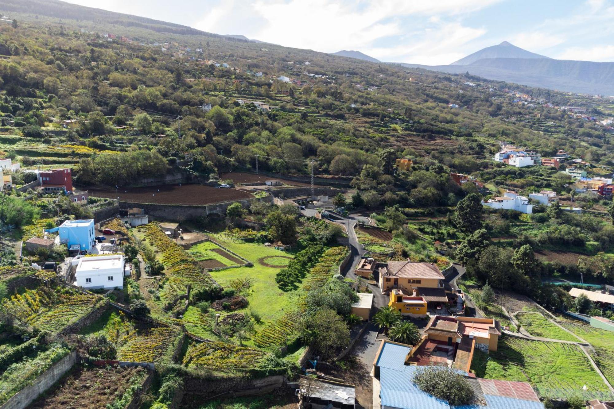 Ek Las Vistas Finca El Milagro La Orotava Dış mekan fotoğraf